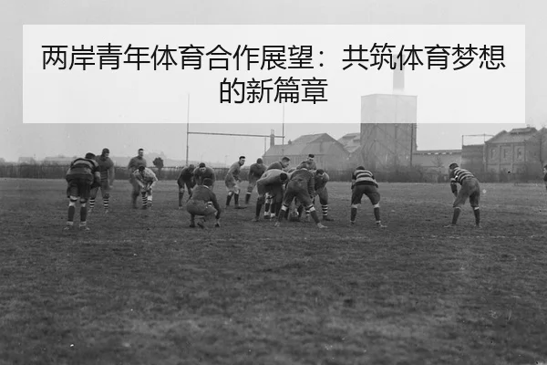 两岸青年体育合作展望：共筑体育梦想的新篇章